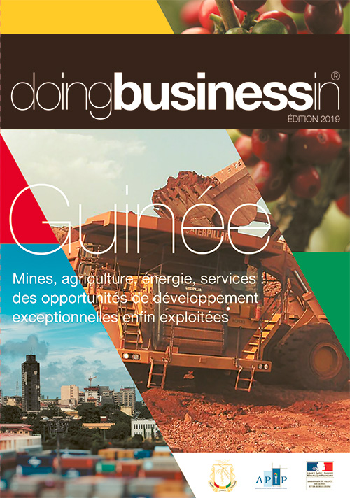 cover-guinee-2019-fr doing business in Guinée 2019